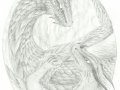 Dragonisedilo0001.jpg